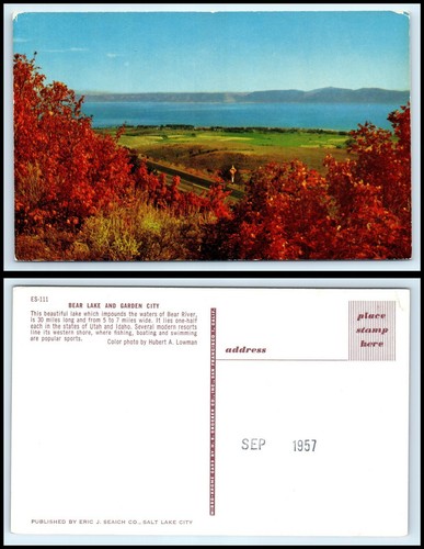 Utah postcard bear - utah, &