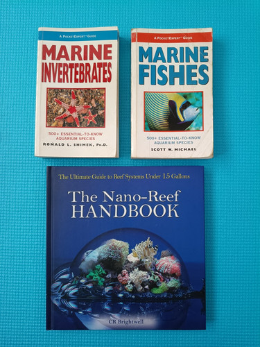 Marine fish invertebrates - marine,