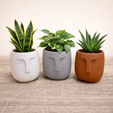 Human Face Plant Pots Nordic