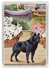 SCHIPPERKE DOG FRIDGE MAGNET