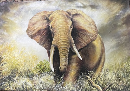 Oil canvas bull - bull, elephant