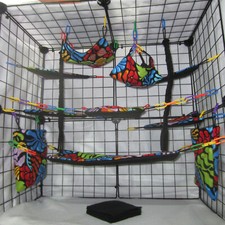17 pc Sugar Glider Cage Set -