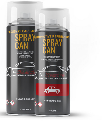 Aerosol spray paint kit for - paint,