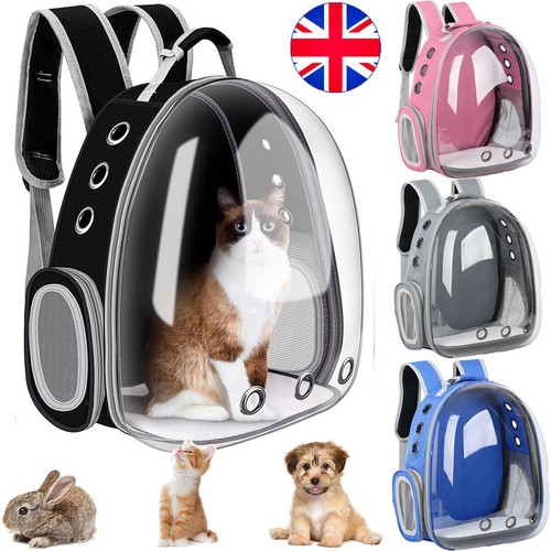 Astronaut window dog cat - cat, pet