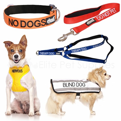 Dexil dog collar lead - collar,,