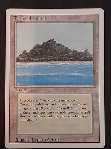 Magic the gathering mtg - the,