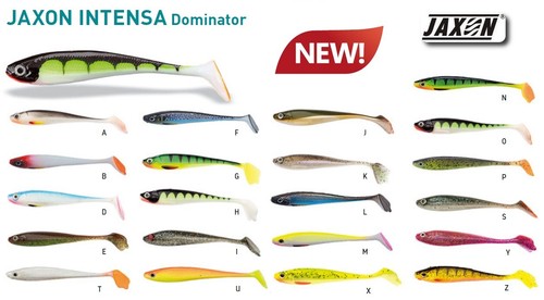 Soft lure shad - jaxon, intensa