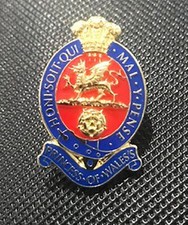 PRINCESS OF WALES ROYAL