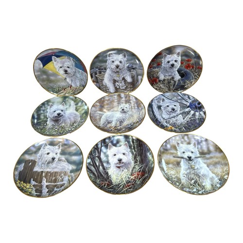 Danbury mint westies - 9x, plates