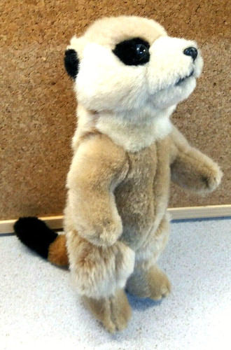 Soft meerkat cuddly toy keel - meerkat,