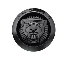 Jaguar Gloss Black Front