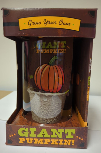 Grow giant pumpkin everything - grow,