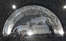 3D Glass etched paperweight