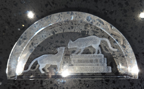 Glass etched paperweight - 3d,