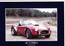 AC Cobra Brochure  - 1993 - mint