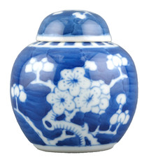 Chinese Porcelain Ginger Jar