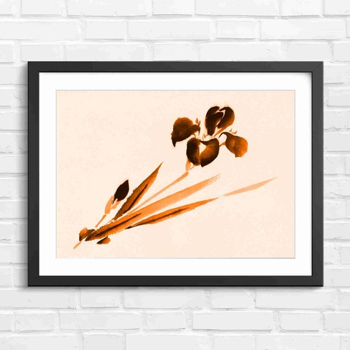 Minimalist black iris - minimalist,