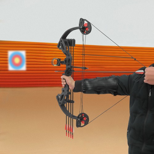 Compound bow set 29lbs - compound, 16-29lbs