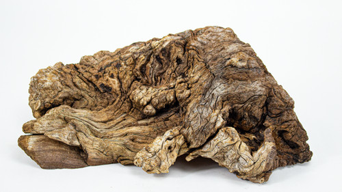 Manzanita driftwood burl - driftwood,