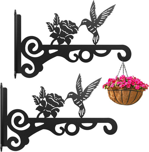 Wall plant hanger inch - plant, 10