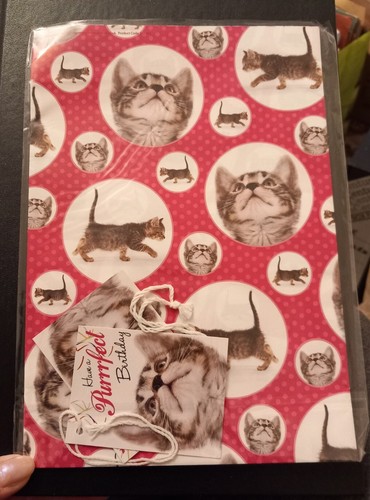 Cat kitten gift wrapping - gift,