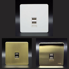 Schneider Twin USB Wall
