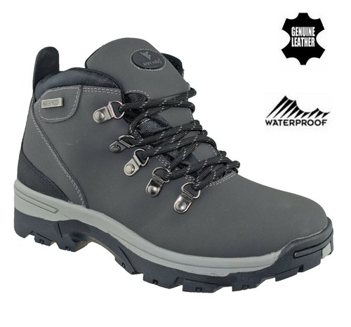 Ladies waterproof womens - ladies,
