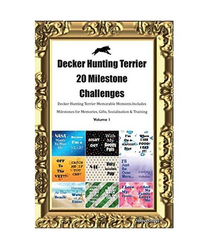 Decker hunting terrier - decker,