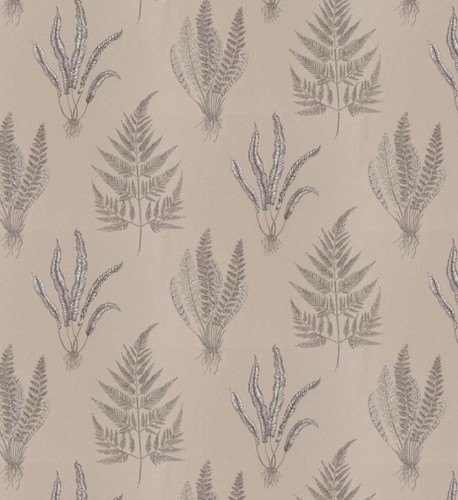 Sanderson woodland ferns - sanderson,