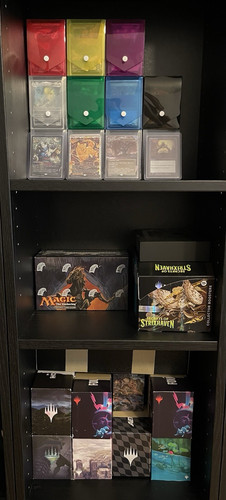 Magic the gathering card - the,