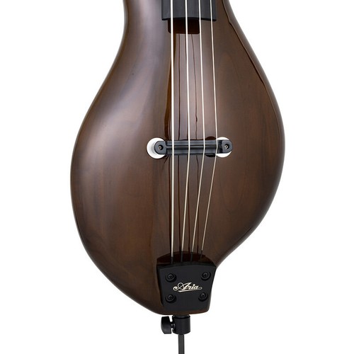 Aria swb 300 - hollow, body