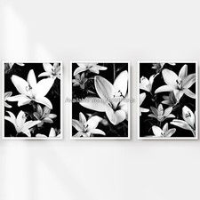 Triptych Set of 3 Black White