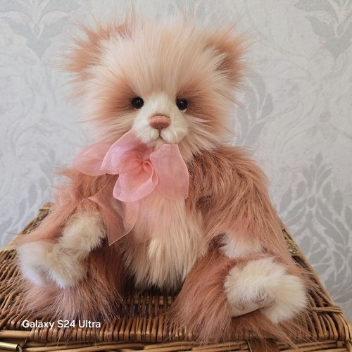 Charlie bears sophia secret - bears,