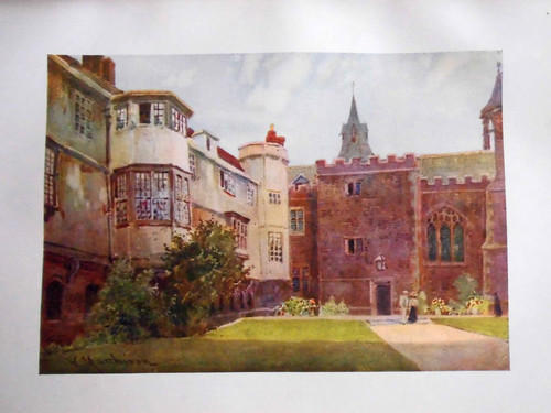 Edwardian cambridge print - edwardian,