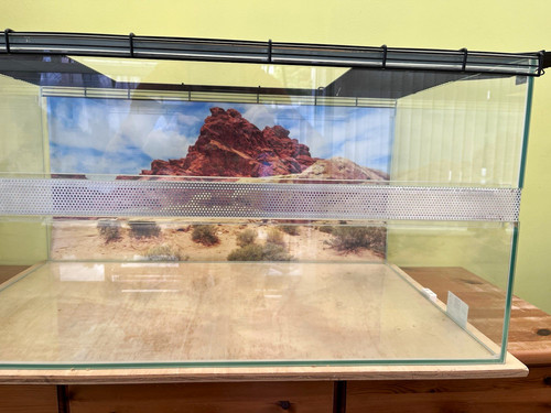 Glass small animal tank - small,