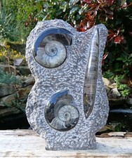 Large Orthoceras & Goniatite Fossil Sculpture  Genuine - Ammonite.