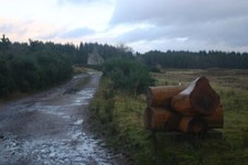 Photo 6x4 Unusual letter box