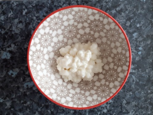 Live milk kefir - milk, grains