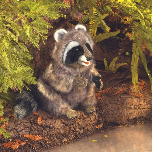 Folkmanis 3075 raccoon hand - folkmanis,