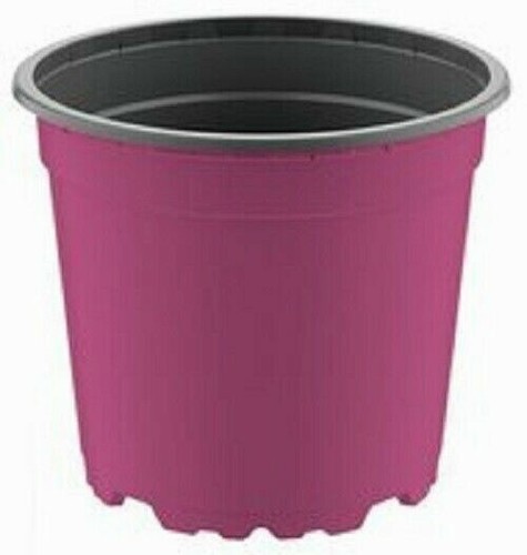 Bright coloured 17cm plastic - bright,