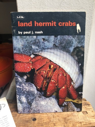 Vintage land hermit crabs - vintage,