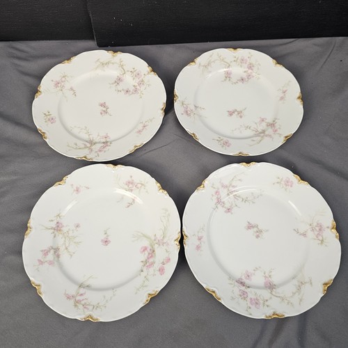 Haviland limoges june bride - haviland,