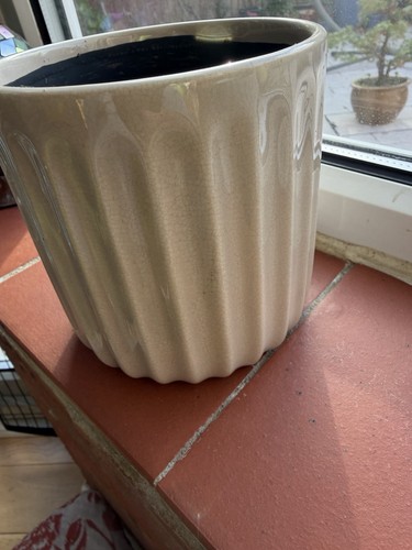 Indoor plant pot - indoor, used