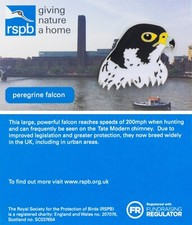 RSPB Pin Badge Special GNaH