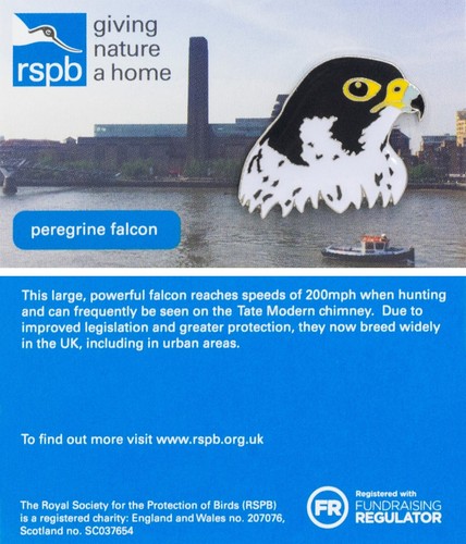 Rspb pin badge - special, gnah