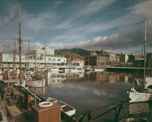 Hobart harbour view - harbour,