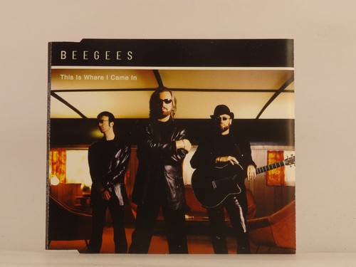 Bee gees this - bee, where