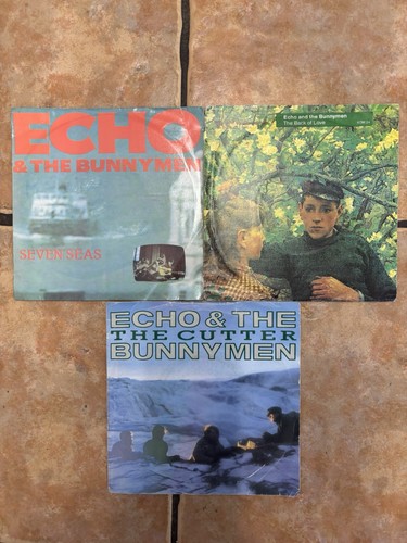 Echo the bunnymen vinyl - 3,