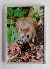 EXTRA LARGE FRIDGE MAGNET ❤