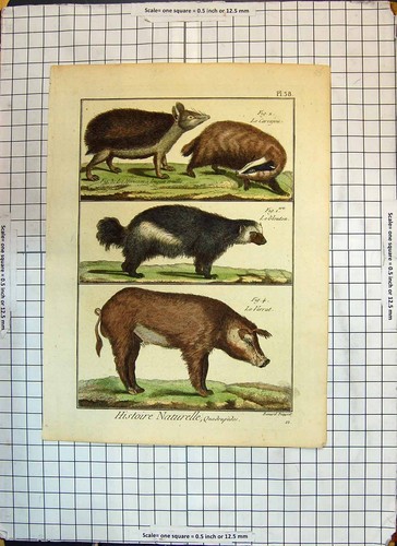 Antique old print colour - antique,